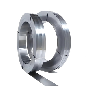 Nichrome Alloy, NiCr Alloy Strip, Nickel Based High Temperature Alloy, Steel Strip, Metal Strip