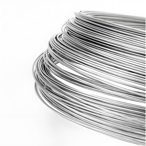 Hastelloy B, Super Alloy, Nickel Based Alloy, High Temperature Wire, Hastelloy Alloy Wire